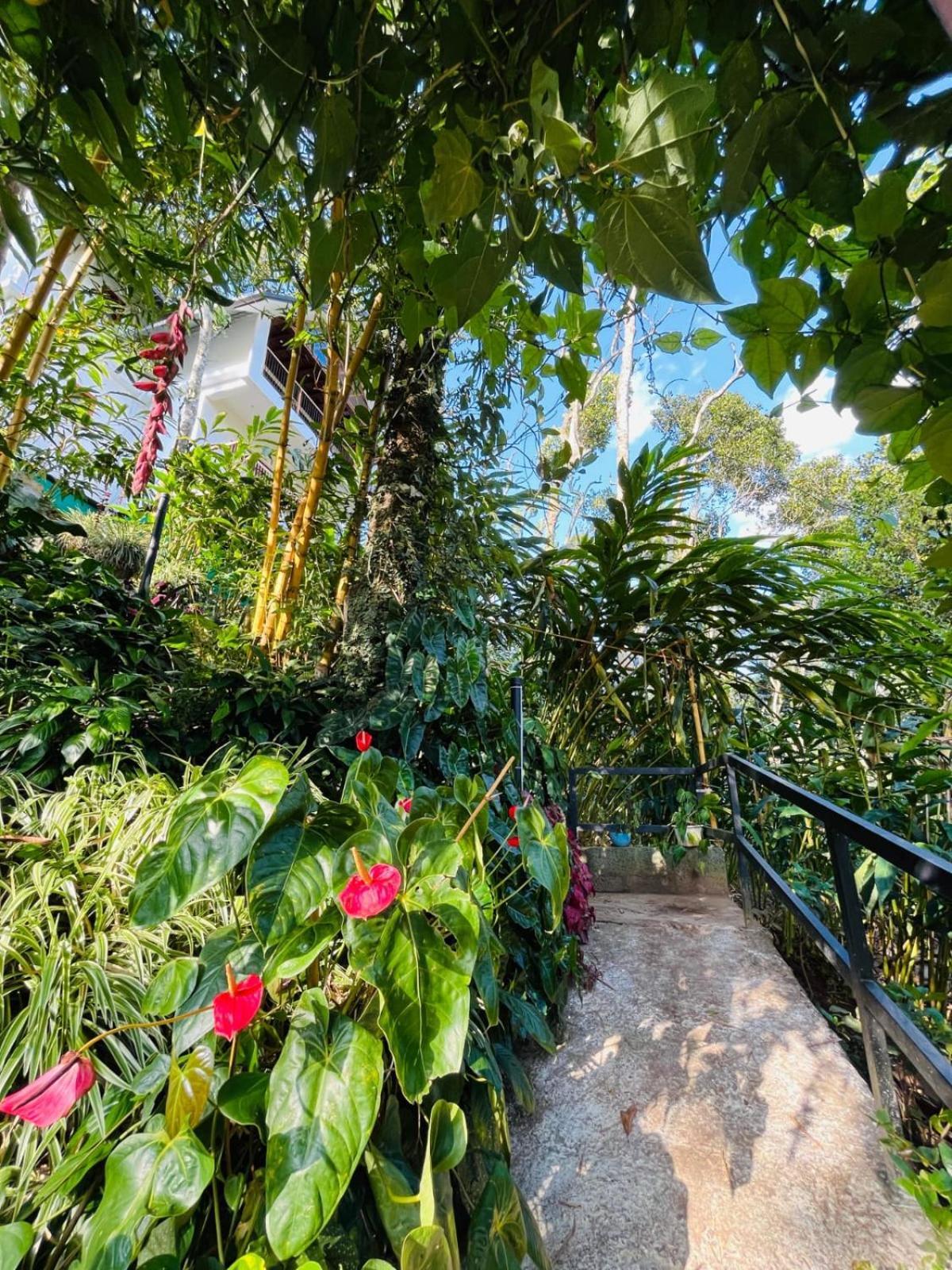Lush Acres Villa เทกคาดี ภายนอก รูปภาพ