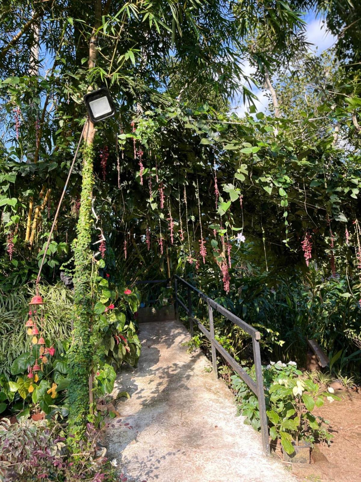 Lush Acres Villa เทกคาดี ภายนอก รูปภาพ