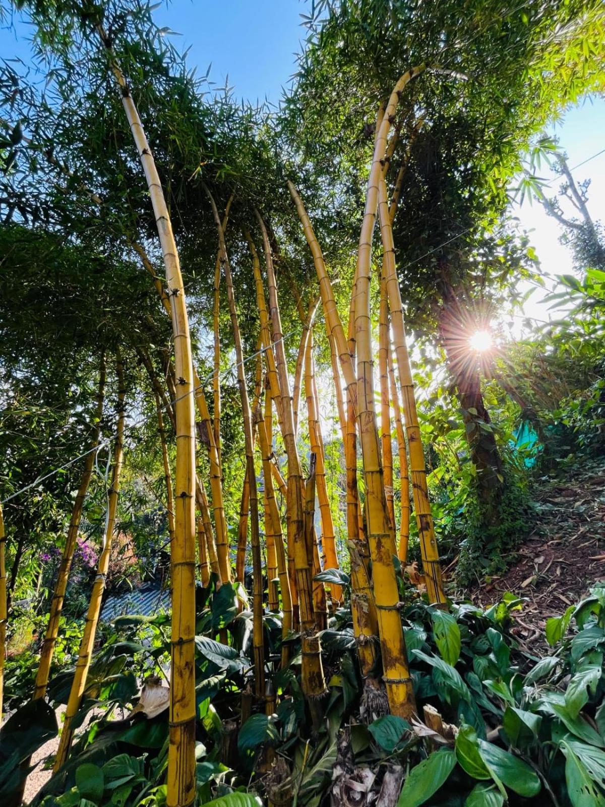 Lush Acres Villa เทกคาดี ภายนอก รูปภาพ