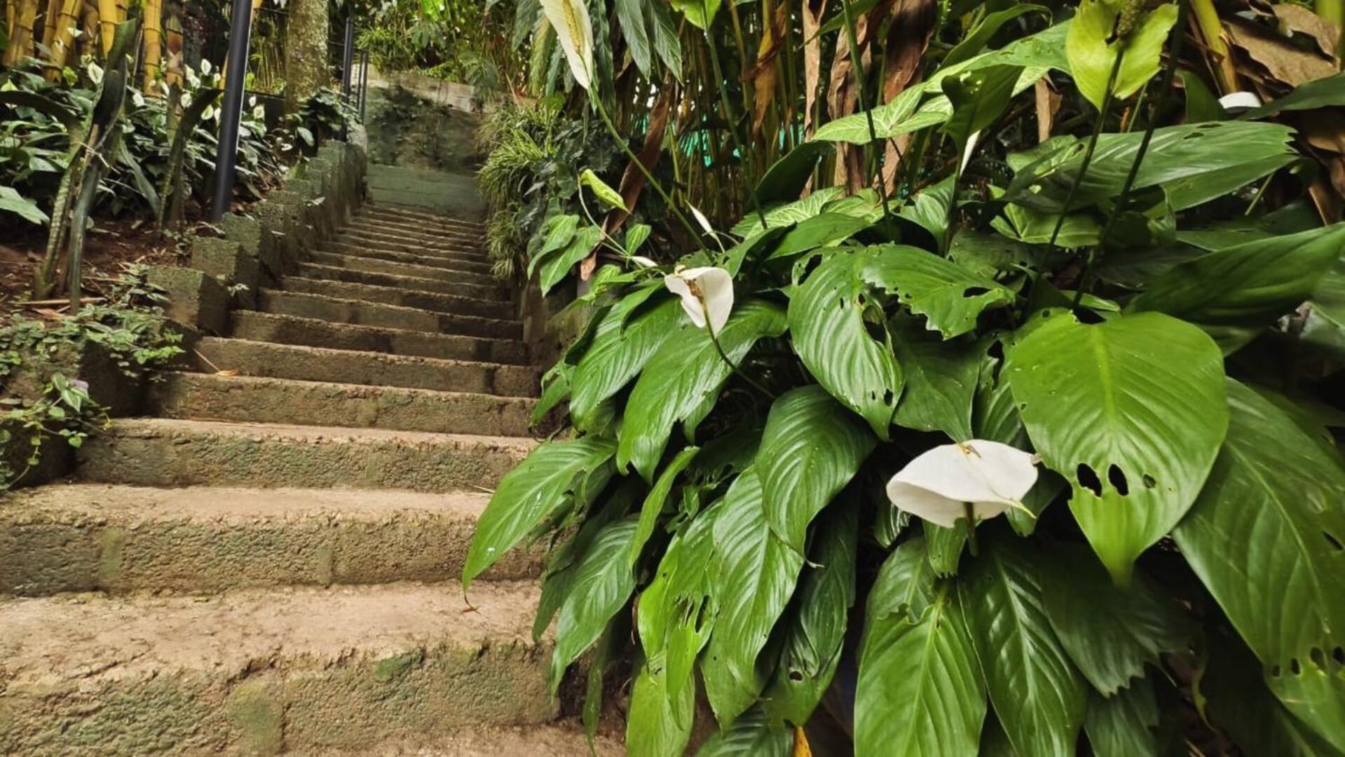 Lush Acres Villa เทกคาดี ภายนอก รูปภาพ